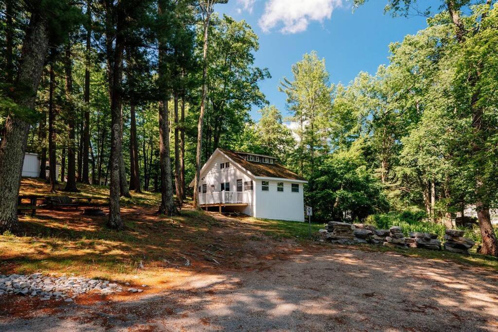 Cabin On Beautiful Arbutus Lake Near Traverse Stadt Exterior foto