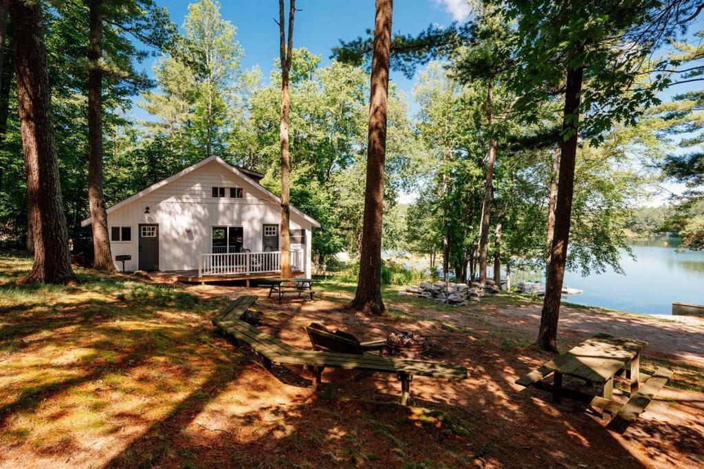 Cabin On Beautiful Arbutus Lake Near Traverse Stadt Exterior foto